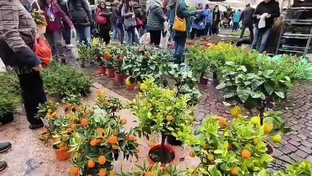 Fiera di San Giuseppe, pienone per gli animali nonostante il brutto tempo