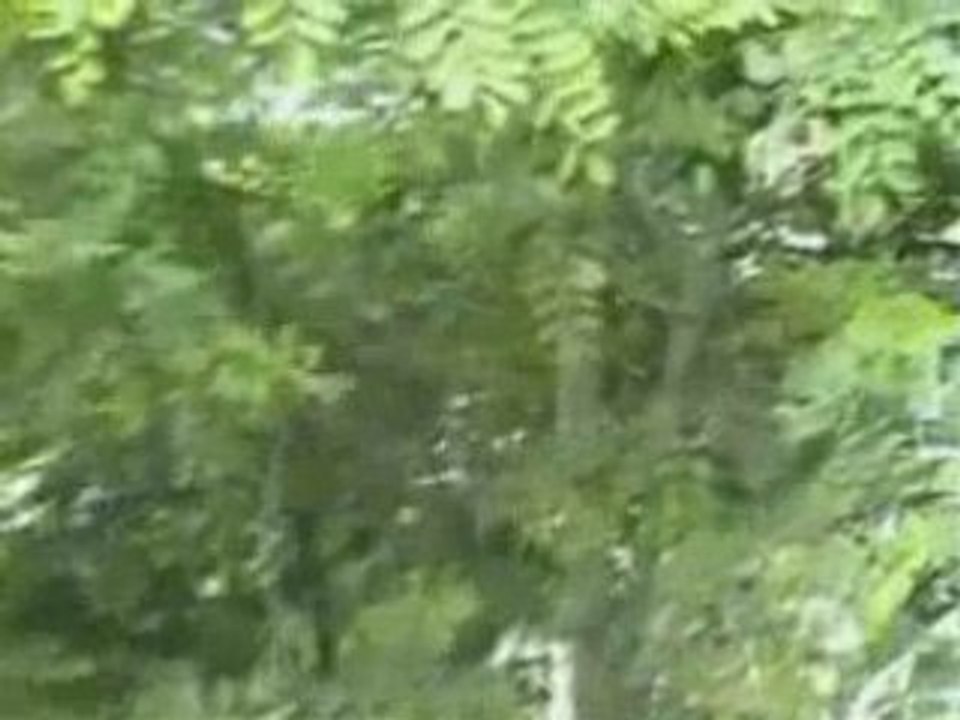 Le cross du complet de Meaux