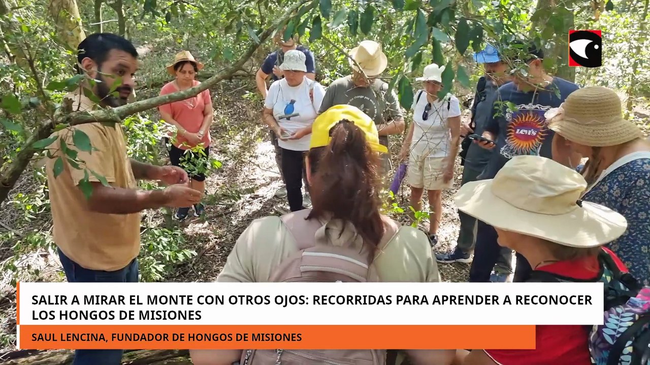 Salir a mirar el monte con otros ojos recorridas para aprender a reconocer los hongos de Misione