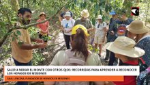 Salir a mirar el monte con otros ojos recorridas para aprender a reconocer los hongos de Misione