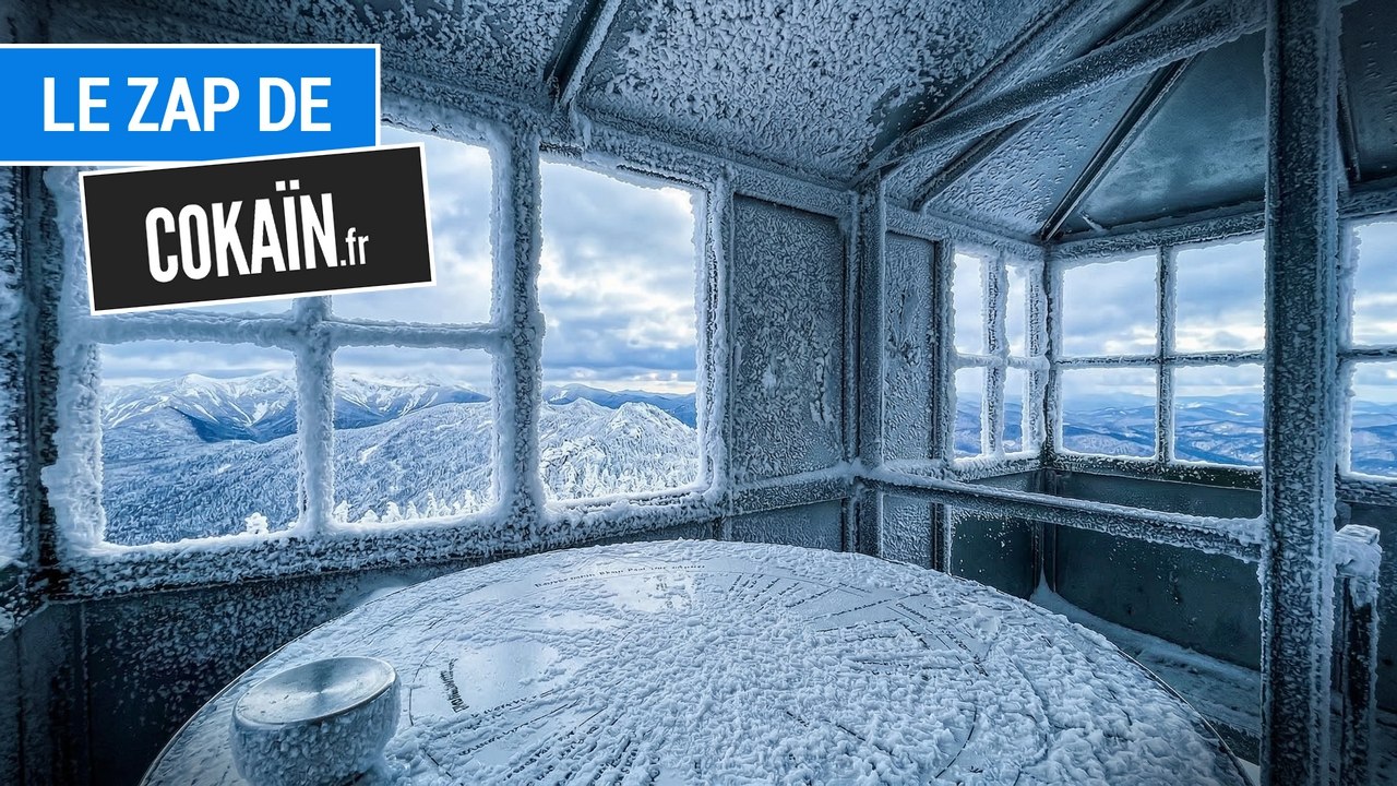 Le Zap de Cokaïn.fr n°534