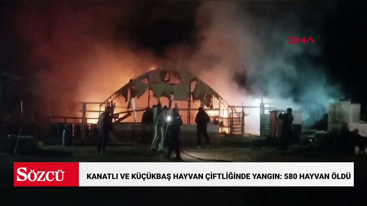 Kanatlı ve küçükbaş hayvan çiftliğinde yangın: 580 hayvan öldü