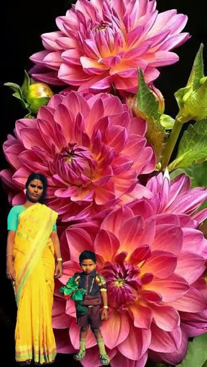 Virise Kannulalo
