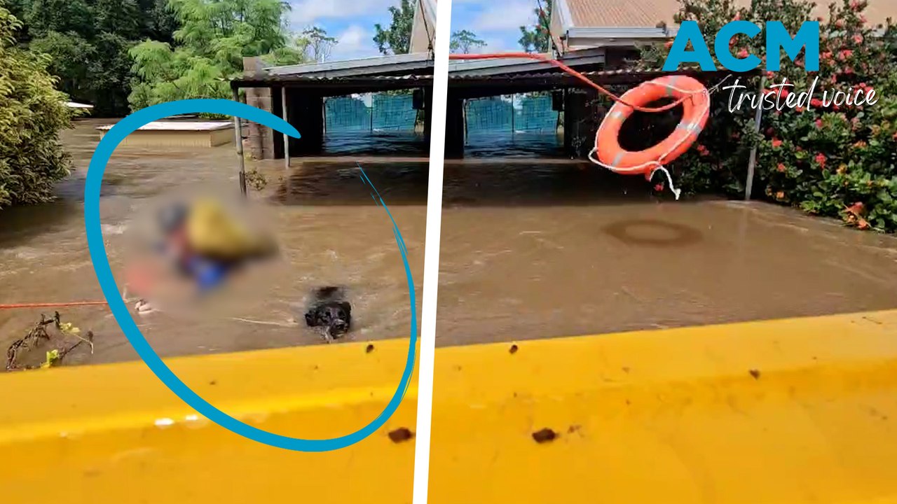 Harrowing rescue of man and dog in Northern Territory flooding