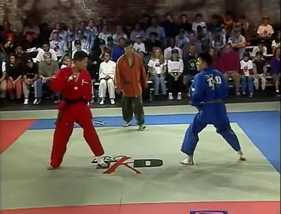 Pro Taekwondo