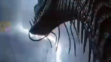 We are in danger in the middle of the ocean. I don't know if we can survive this unknown creature