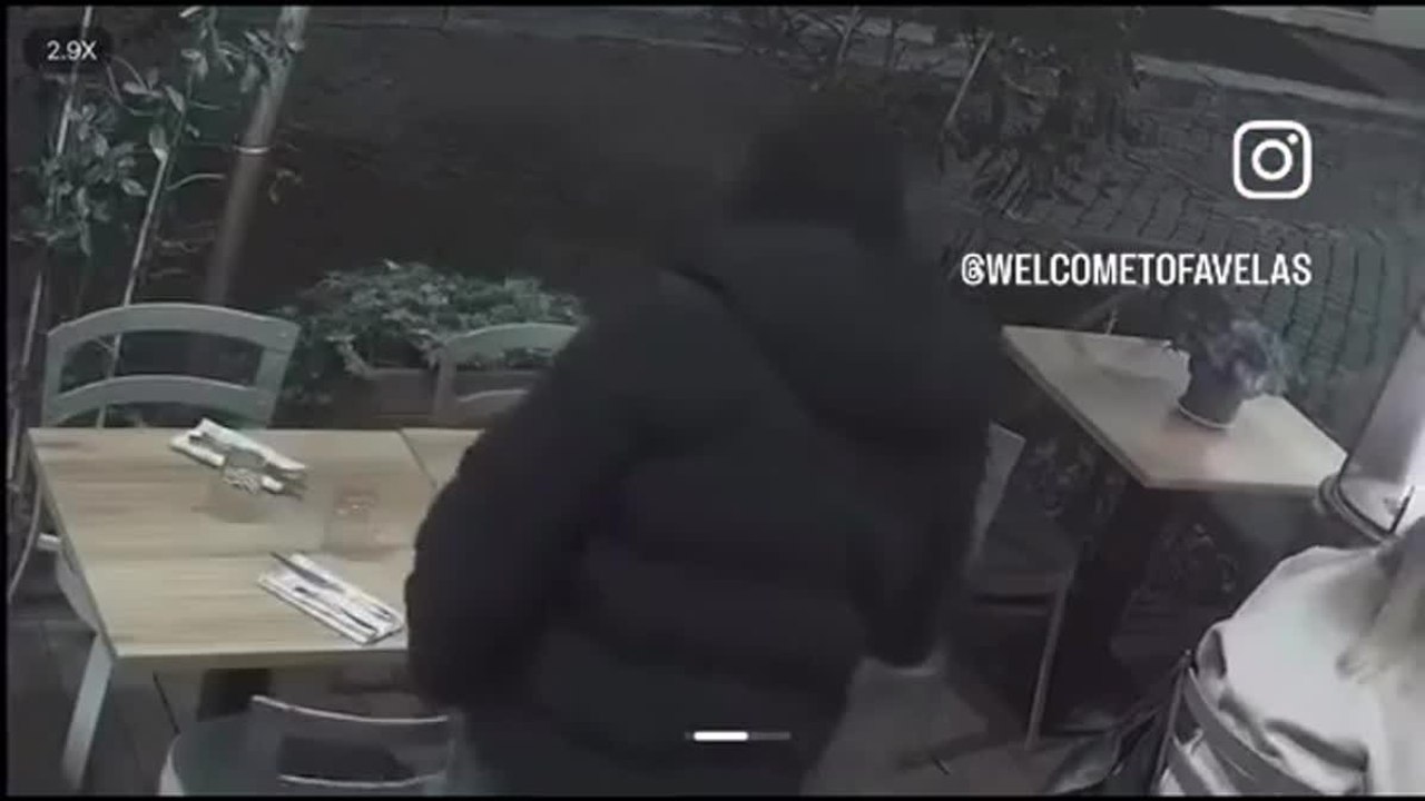 Roma: ladro filmato mentre ruba la borsa di lusso di una turista in un bar-ristorante. Ecco il video