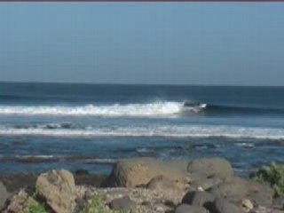 ernesto,steph & bibi