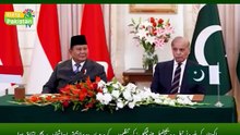 Pakistan and Indonesia Reach Agreement on Palm Oil Trade!