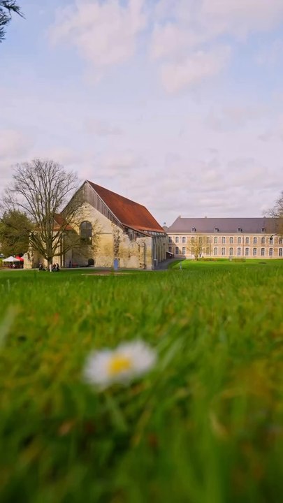 En collaboration avec le Jardin du Luxembourg, les orchidées s’invitent sous les voûtes de l’abbaye de Vaucelles pour leur 35e exposition, sur le thème « Les orchidées de papier »