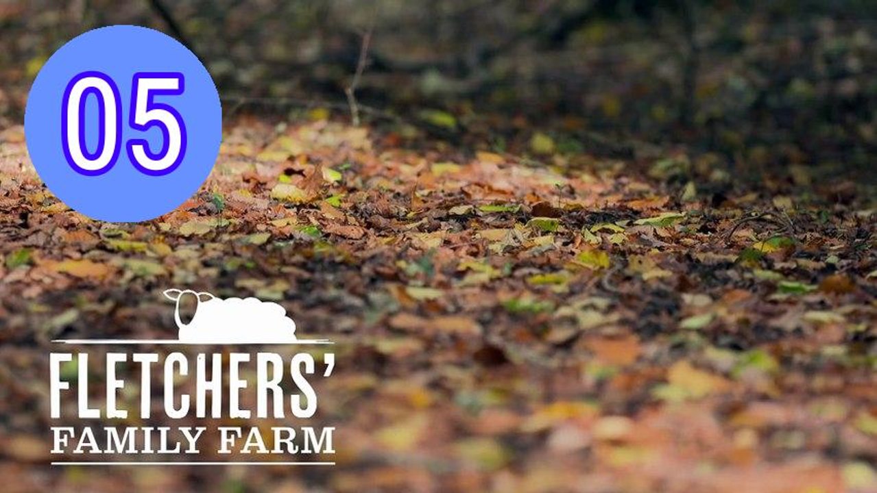 fletchers family farm s04e05 Episode 5 Engsub