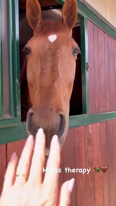 Laeticia Hallyday a profité d'un moment au haras de son compagnon Serge Varsano. Capture d'écran Instagram