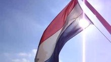 dutch flag in summertime