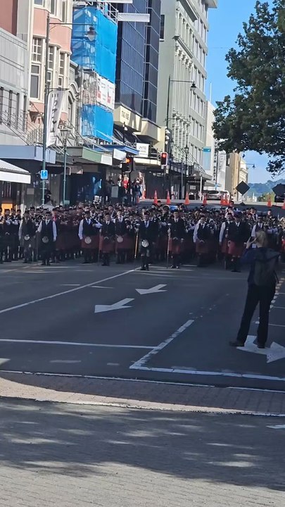 Mass Pipe Band in Dunedin NZ 2026 😍 ( Bagpipe is everywhere ) #newzealand #pipeband #pipers #parade
