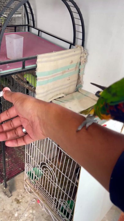 Pets Life #petslife #Viral #Funny #beauty