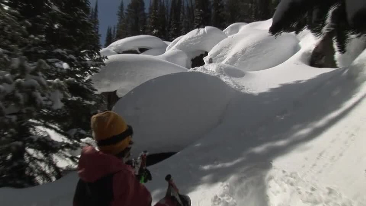 Skiing Down a Snowy Hill