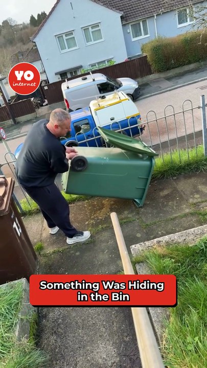 Rodent Rescued From Recycling Bin Sparks Hectic Garden Pursuit