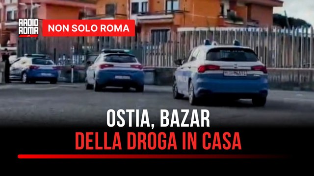 Ostia, bazar della droga in casa: sequestrati 65 chili tra hashish, marijuana e cocaina