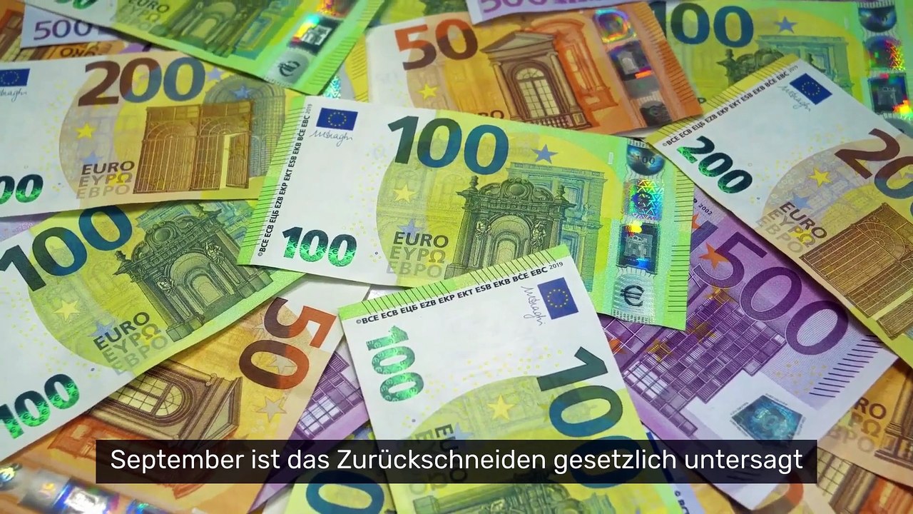 Garten-Verbot: Bußgeld wegen Heckenschneiden