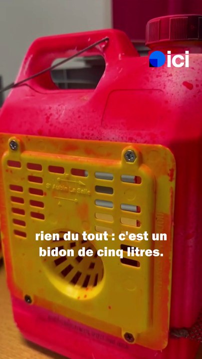 Frelons asiatiques : comment faire son piège maison ?