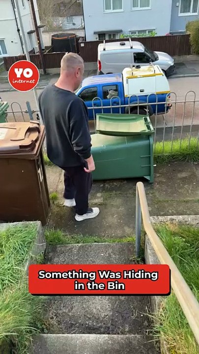 Rodent Rescued From Recycling Bin Sparks Hectic Garden Pursuit