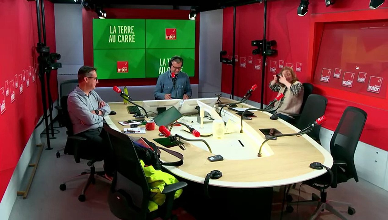 L'univers sombre - Terre au carré