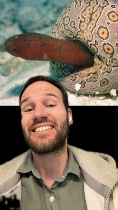 Un POISSON pas comme les AUTRES