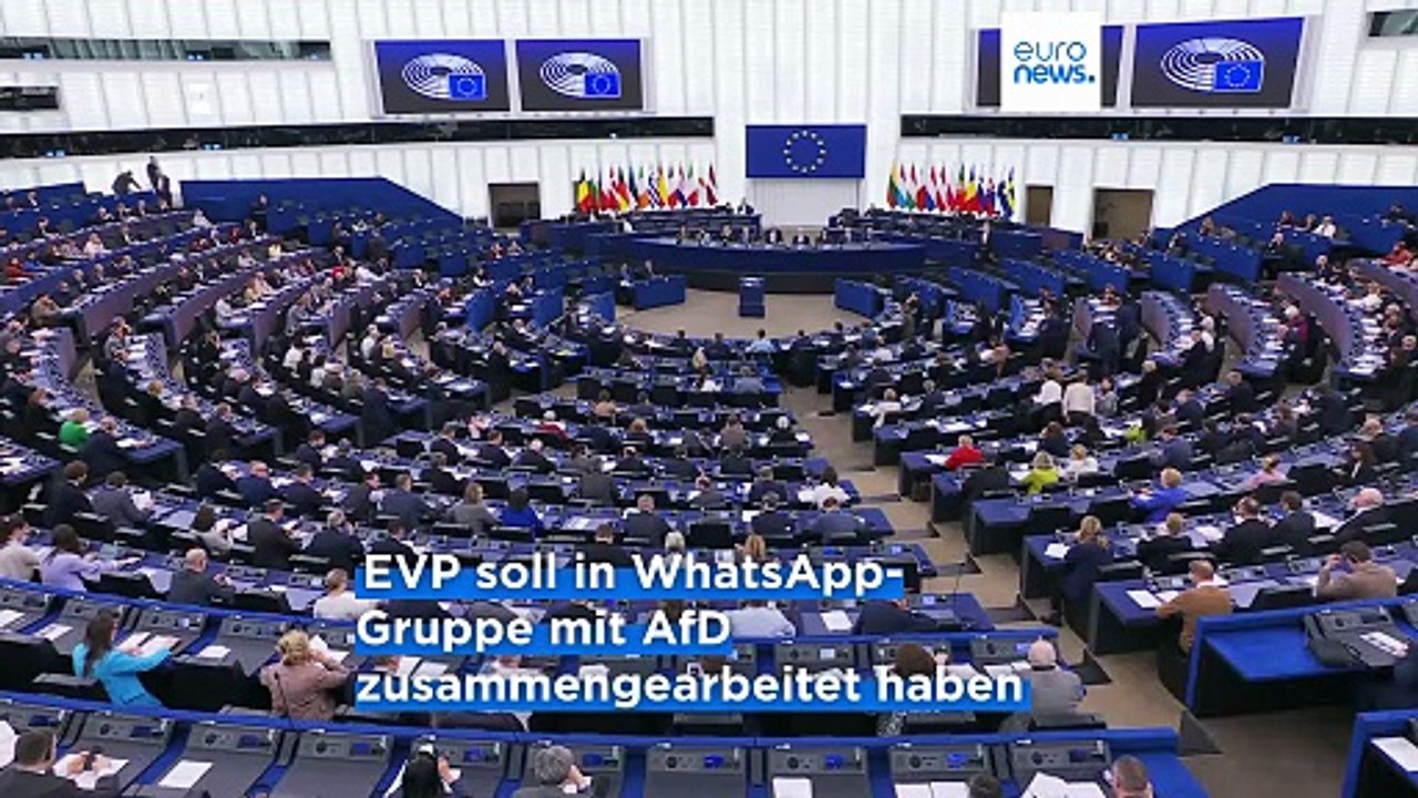 Brandmauer im EU-Parlament gefallen? EVP hat offenbar eng mit AfD kooperiert