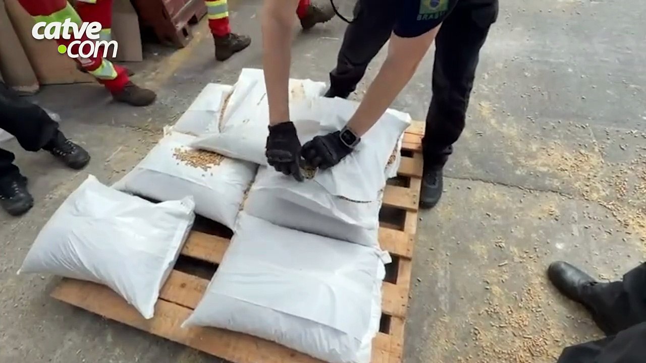 69 quilos de cocaína são encontrados em contêiner em Santa Catarina