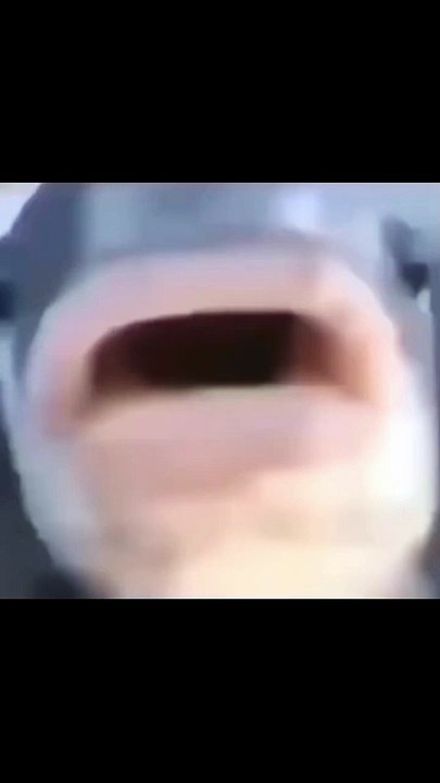 Bebek balık  👉 Kanalıma Göz Atın ve Abone Olun  #shorts#reels #new #meme #komik #funn