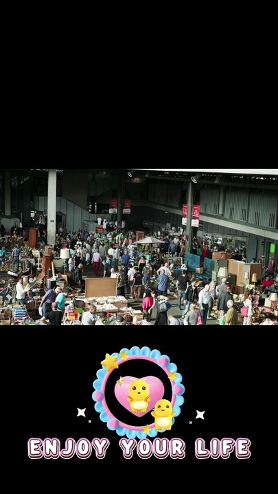 Fall Sparks Rising - Musique AMIS