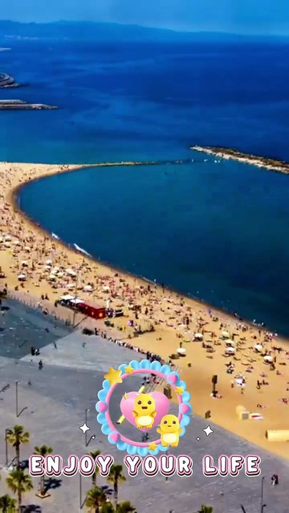 Forget - Musique AMIS