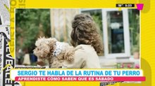 Los perros ¿cómo saben que es fin de semana?