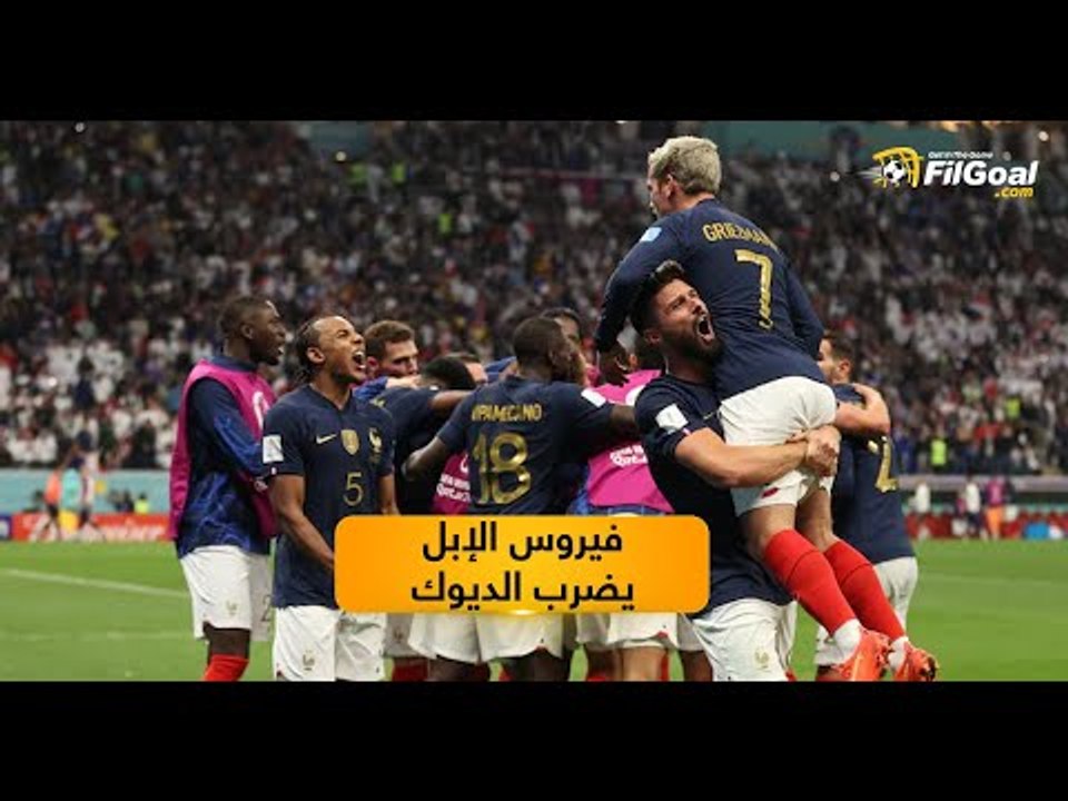 ما هو "فيروس الإبل" الذي ضرب منتخب فرنسا قبل نهائي المونديال