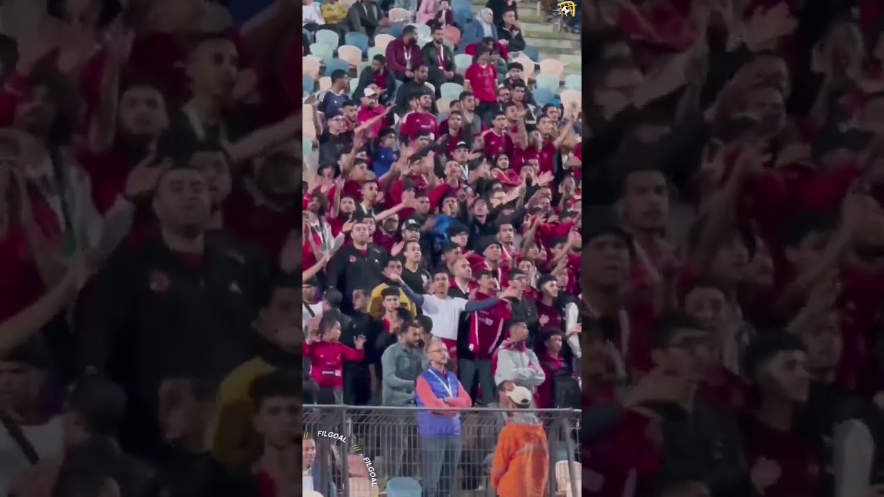 "محمود كهربا يا أصيل.. جمهور الأهلي شايل الجميل" هتافات جماهير الأهلي لكهربا واللاعب يرد التحية
