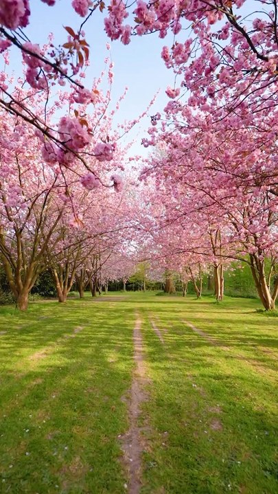 Situé entre Bondues et Marcq-en-Barœul, ce domaine que tu connais déjà sûrement regroupe un château du XVIIIe siècle, le village artisanal de la Fondation Septentrion et l’un des plus beaux parcs et jardins de la métropole lilloise.