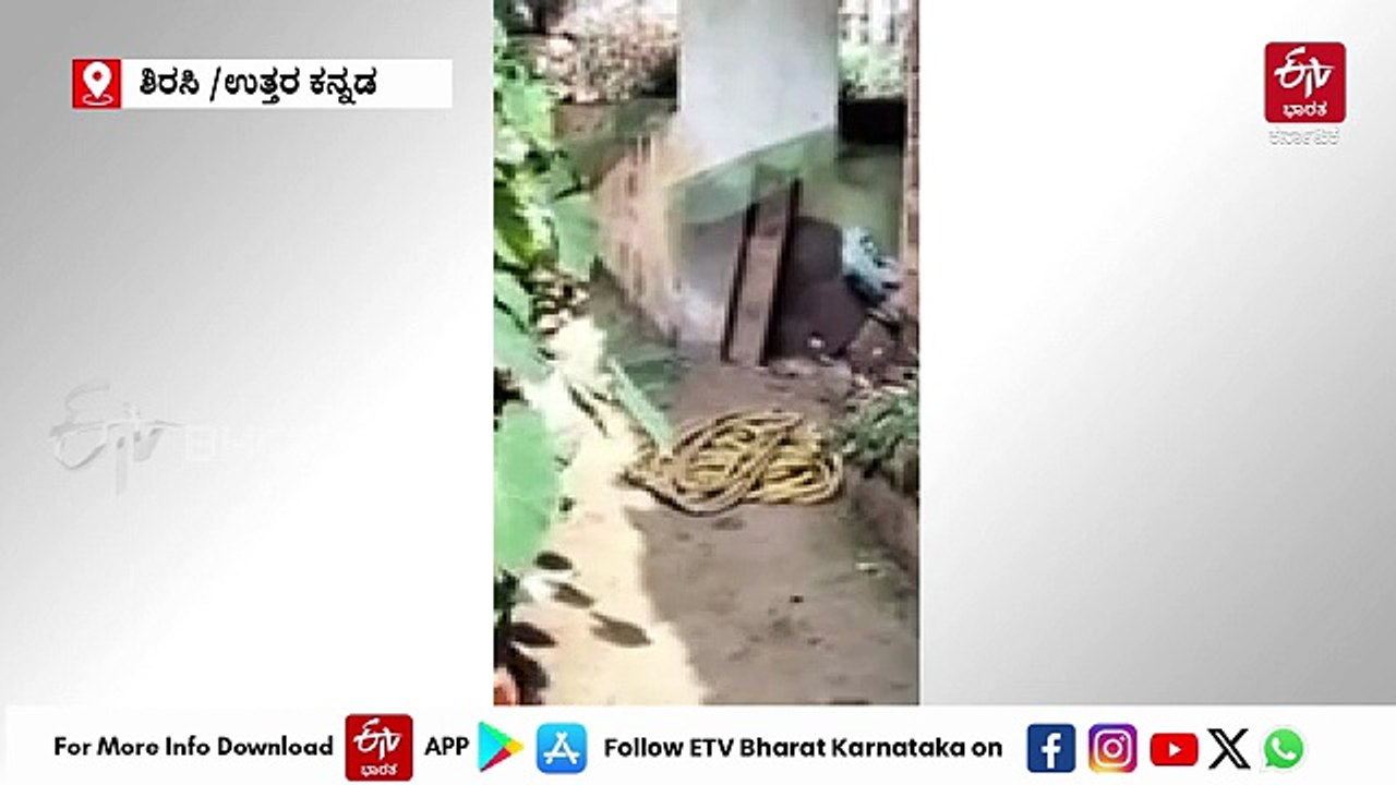 50 ಅಡಿ ಆಳದ ಬಾವಿಗೆ ಬಿದ್ದ ಎರಡು ವರ್ಷದ ಮಗು: ಜೀವದ ಹಂಗು ತೊರೆದು ರಕ್ಷಿಸಿದ ವ್ಯಕ್ತಿ!