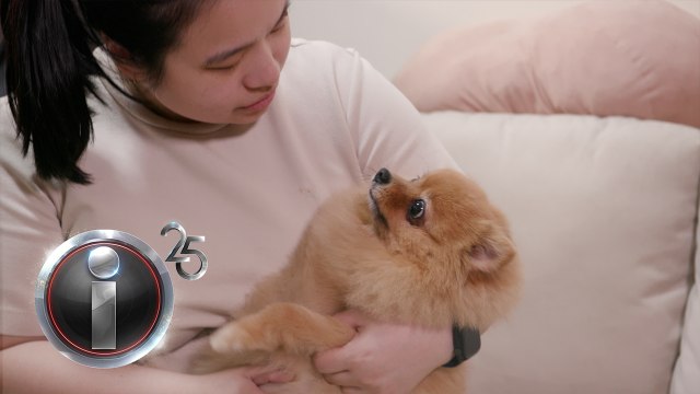 Gaano nga ba kalaki ang naitutulong ng mga alagang hayop sa ating mental health? | I-Witness