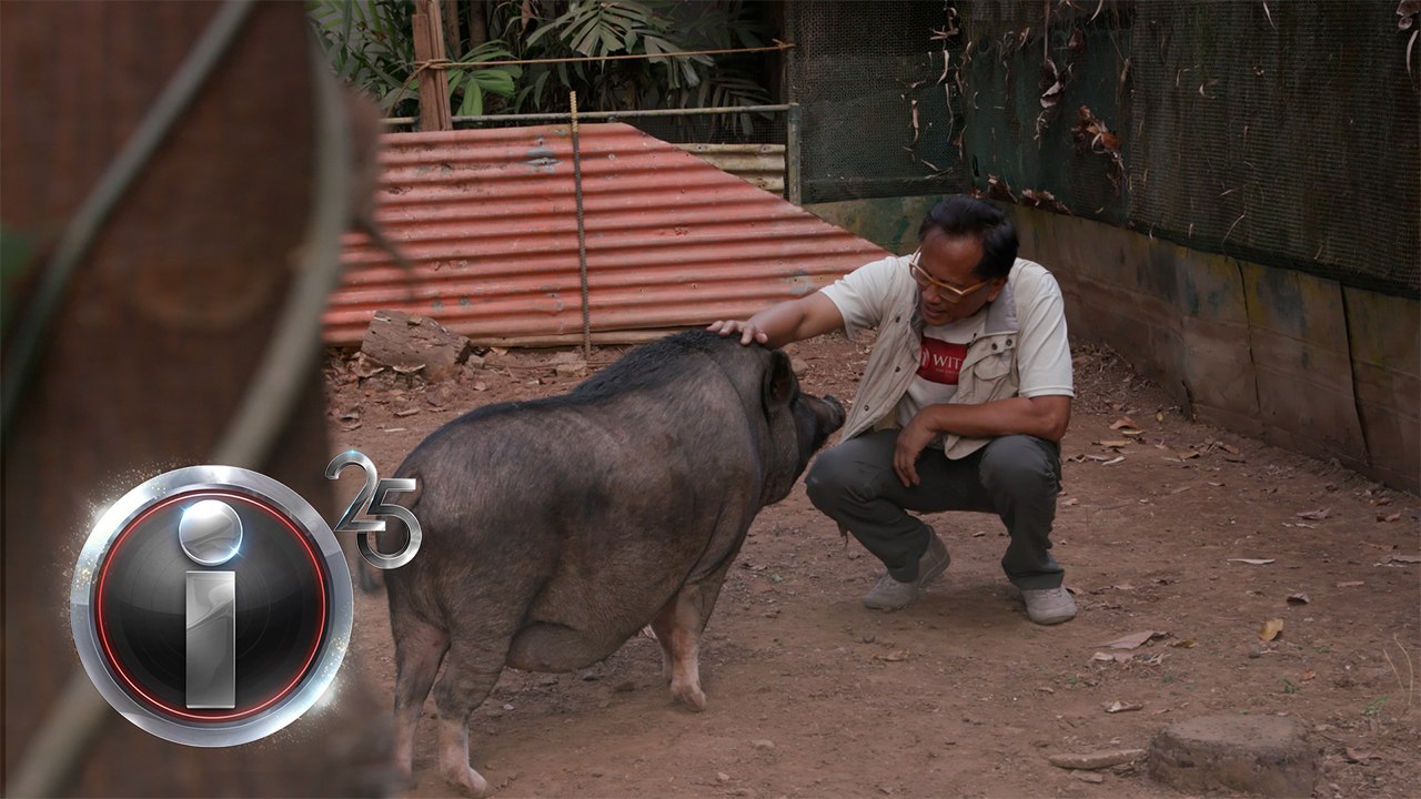 ‘Therapets,’ dokumentaryo ni Howie Severino sa #IWitness | I-Witness