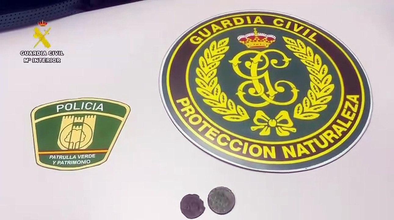 Delito contra el patrimonio y hurto