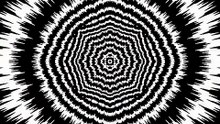 Can You Survive This! @viralInterpretation