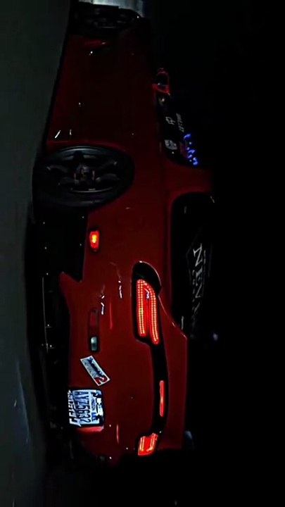 The elegant curves of masterpieces