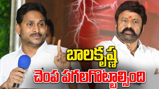 YS Jagan Vs Balayya | బాలకృష్ణ చెంప పగలగొట్టాల్సింది సంచలన వ్యాఖ్యలు | Oneindia Telugu
