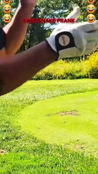 Fake Snake Prank