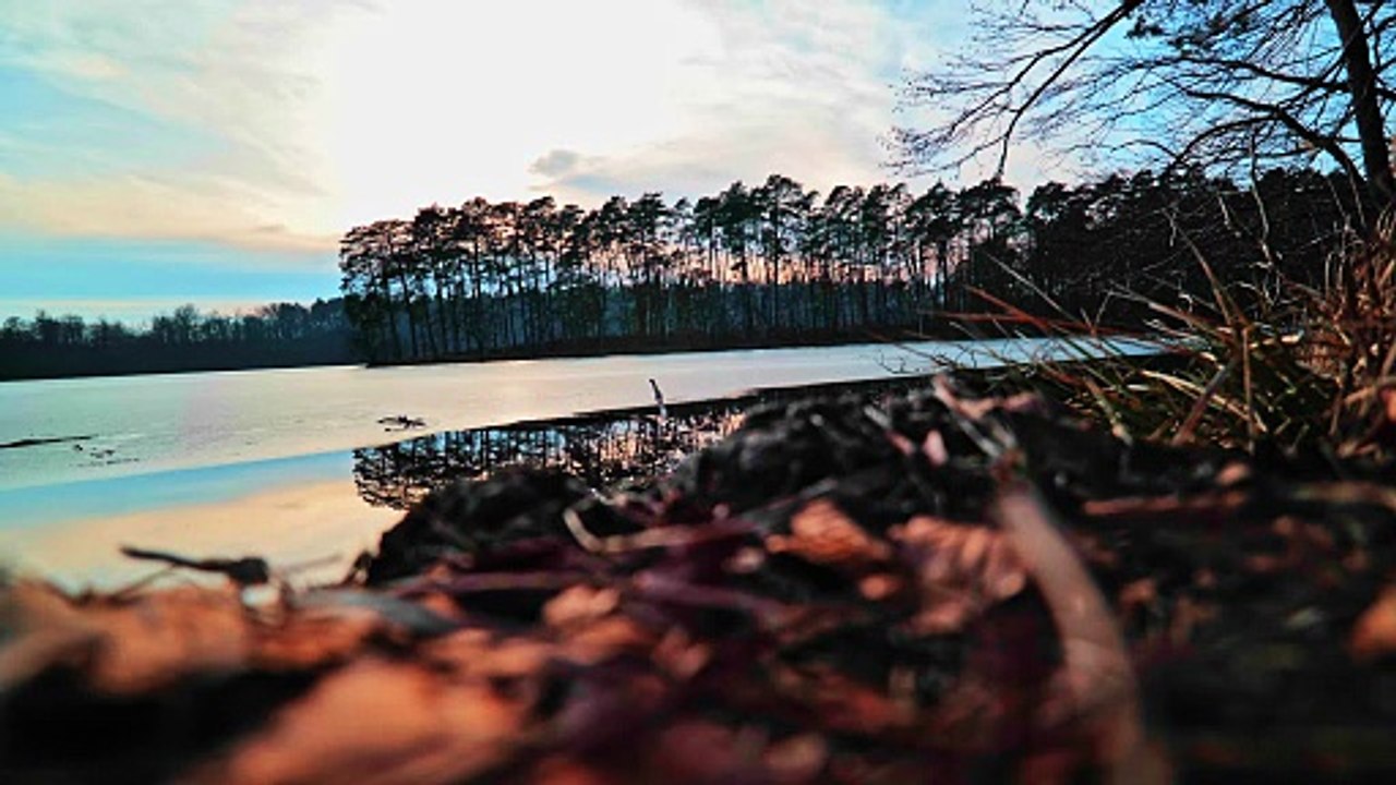 Frozen Lake Silence