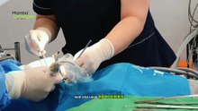 Dr. Doherty Demonstrates Omnispec ED1000 "MAMBA" | Shockwave Therapy for ED and Joint Pain