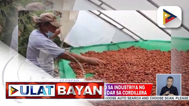 Vista Project ng DAR na makapagpapalago sa industriya ng kape at cacao, sisimulan sa Cordillera | ulat ni Christine Joy Sabaway ng PTV Cordillera