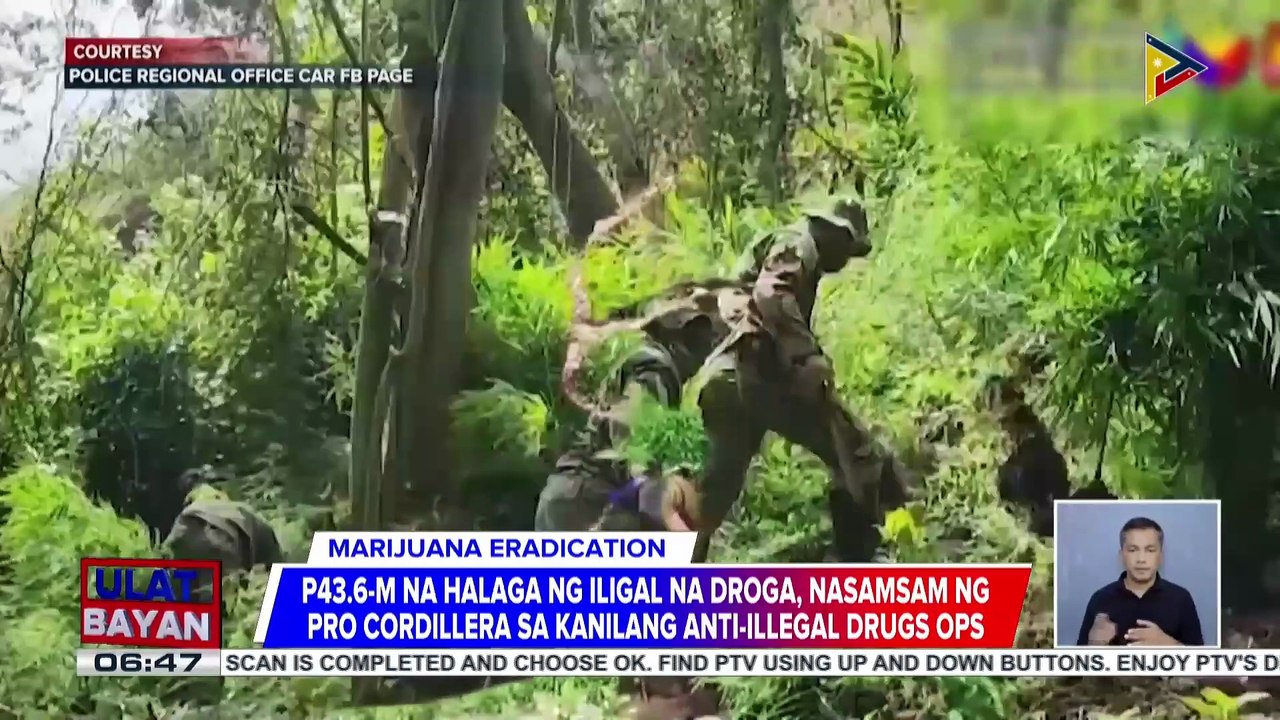 P43.6M na halaga ng umano'y ilegal na droga, nasamsam ng PRO Cordillera sa kanilang anti-illegal drugs ops | ulat ni Christine Bornolla-Sabaway ng PTV Cordillera