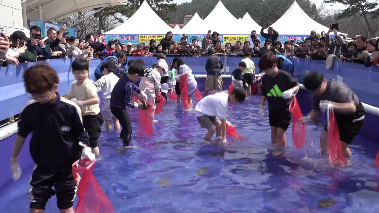 충남 보령 '무창포 주꾸미 도다리 대잔치' 오는 20일 개막 / YTN