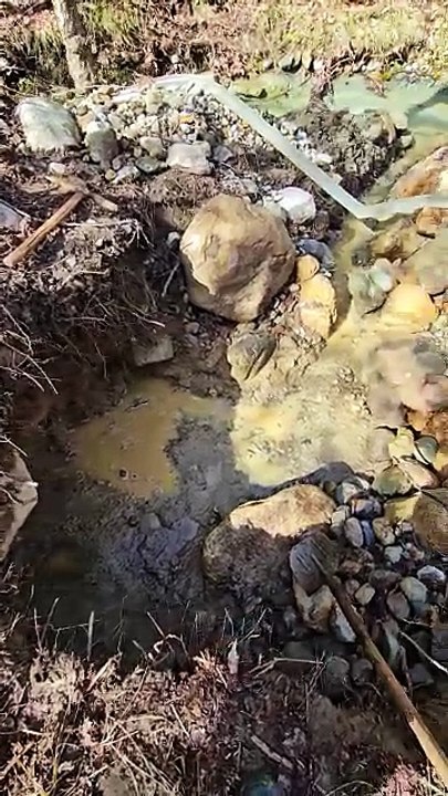 Finding gold in the stream & panning like a pro #golddigger